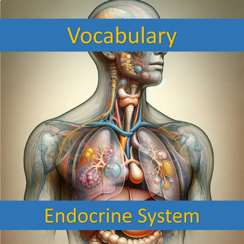 Preview of Vocabulary Endocrine System