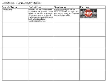 Preview of Vocabulary Graphic Organizer Template