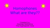 Vocabulary - Homophones/Homonyms - Google Slides/PowerPoint