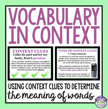 Preview of Vocabulary in Context Presentation and Assignment - Using Context Clues