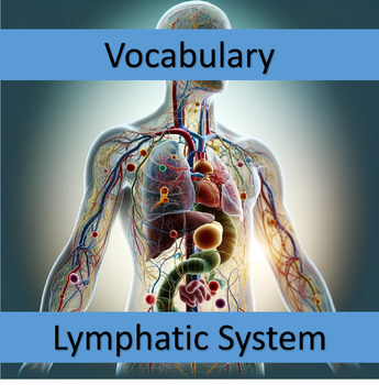 Preview of Vocabulary Lymphatic System