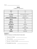 Vocabulary Packet:  Preliminary Introductory - 3 packets a