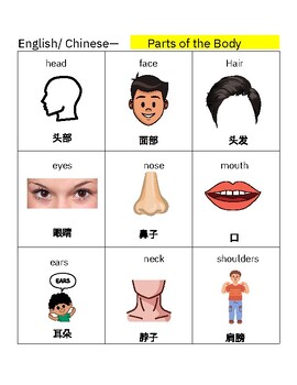 Preview of Vocabulary- Parts of the Body-  English/ Chinese Picture Dictionary w worksheets