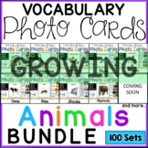 Vocabulary Photo Cards - Animals BUNDLE {GROWING}