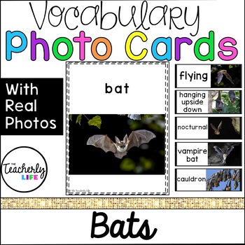 Preview of Vocabulary Photo Cards - Bats