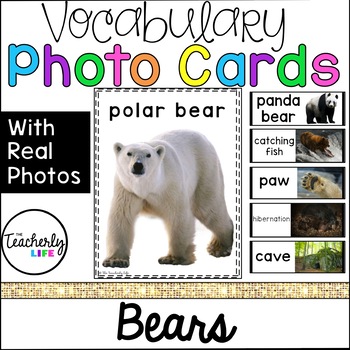 Preview of Vocabulary Photo Cards - Bears
