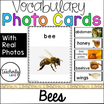 Preview of Vocabulary Photo Cards - Bees
