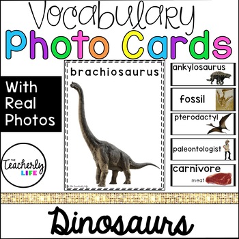 Preview of Vocabulary Photo Cards - Dinosaurs