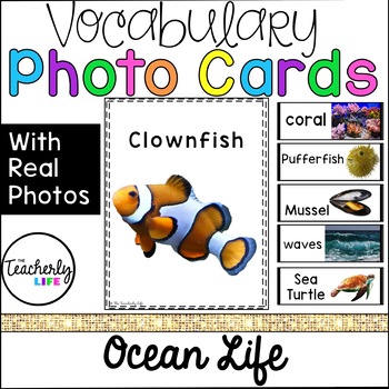 Preview of Vocabulary Photo Cards - Ocean Life