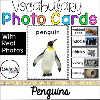 Preview of Vocabulary Photo Cards - Penguins