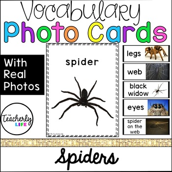 Preview of Vocabulary Photo Cards - Spiders