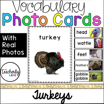 Preview of Vocabulary Photo Cards - Turkeys