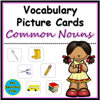 Preview of Vocabulary Picture Cards - Common Nouns