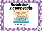 Vocabulary Picture Cards 3rd Grade myView Unit 2 Week 2 We