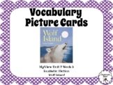 Vocabulary Picture Cards 3rd Grade myView Unit 2 Week 3 Wo