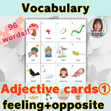 Vocabulary Picture Cards | Adjective (feeling + opposites words)