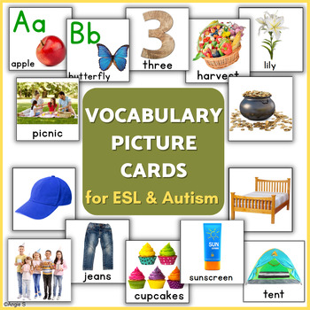 Preview of Vocabulary Picture Cards Speech Therapy ESL Special Education Autism Set 2