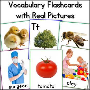 Preview of Vocabulary Picture Cards Speech Therapy ESL Special Education Autism Sped