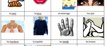 Preview of Vocabulary Picture Sheet Body Parts, El Cuerpo