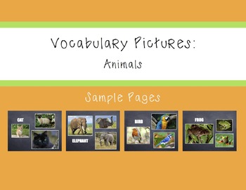 Preview of Vocabulary Pictures - Animals
