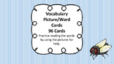 Vocabulary and Phonics Center Reading Resource