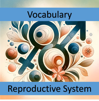 Preview of Vocabulary Reproductive System