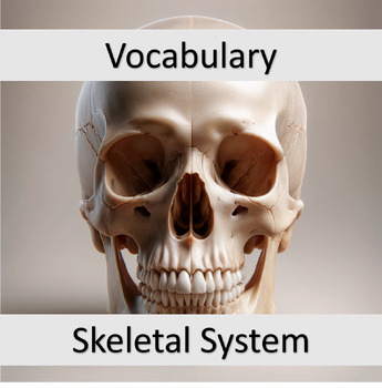 Preview of Vocabulary Skeletal System