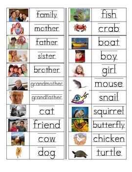 Vocabulary Word Cards--Small Nouns in Color by JoellW | TPT