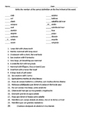 Vocabulary Word Quiz #2