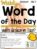 Vocabulary - Word of the Day - Grossology - Week 3