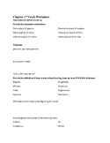 Vocabulary Worksheets