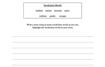 Preview of Vocabulary Writing (editable)