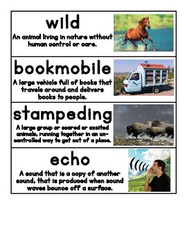 Preview of Vocabulary cards Module 0