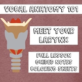 Vocal Anatomy 101: Meet Your Larynx! (Lesson and Worksheets)
