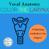 Vocal Anatomy: Color the Larynx Labeling Worksheet