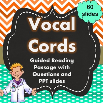 Preview of Vocal Cords Guided Reading with Questions and Power Point