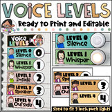 Voice Levels Chart | Ready to Print and Editable | Boho Neutrals