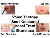 Voice Therapy Semi Occluded Vocal Tract Exercises
