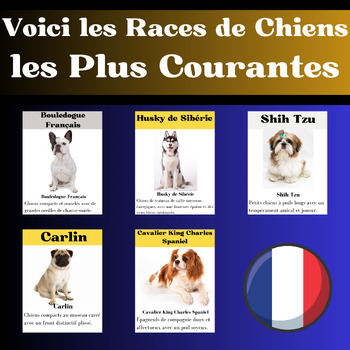 Preview of Voici les Races de Chiens  les Plus Courantes : Les images et ses Définitions