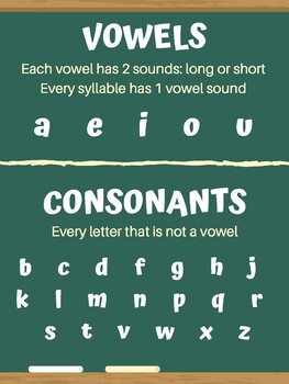 Vowel Consonant Letters Poster by Lauren Bode | Teachers Pay Teachers