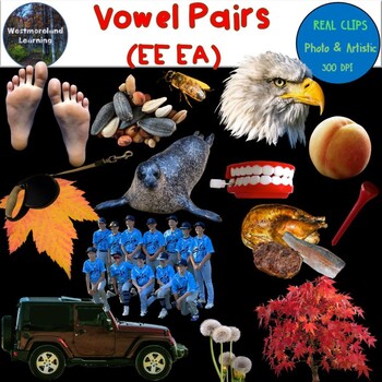 Preview of Vowel Pair EA EE Long E Clip Art Phonics Photo & Artistic Digital Stickers