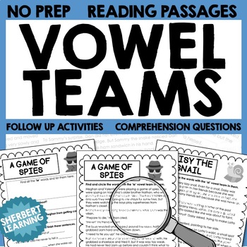 Preview of Vowel Team / Digraph Reading Phonics Passages - ie ai ay ue ui oa ow oe ea ee ey