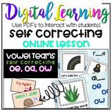 Vowel Team oe, oa, ow SELF CORRECT PDF Digital Google ONLI