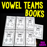 Vowel Teams Little Phonics Books Bundle (AI AY OA OW EE EA