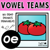 OE Vowel Teams No Prep Phonics Printables with Color Posters