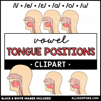 Preview of Vowel Tongue Positions Clip Art