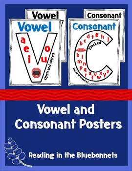 Vowel and Consonant Posters by Reading in the Bluebonnets | TPT