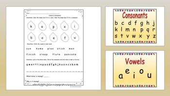 Preview of Vowels & Consonants Worksheet and Posters