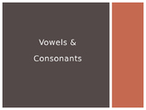 Vowels and Consonants Lesson