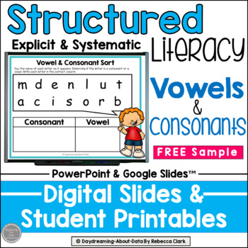 Preview of Vowels and Consonants | Structured Literacy Lessons | Free Sample